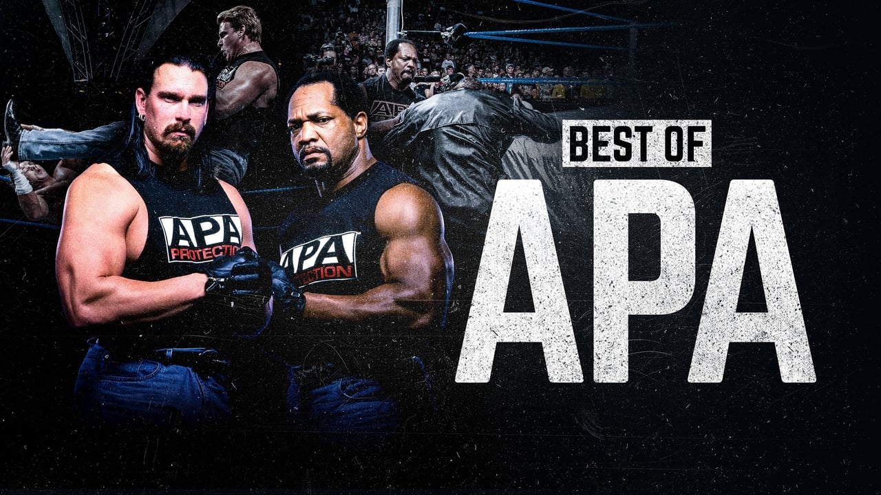 The Best of WWE Best of the APA