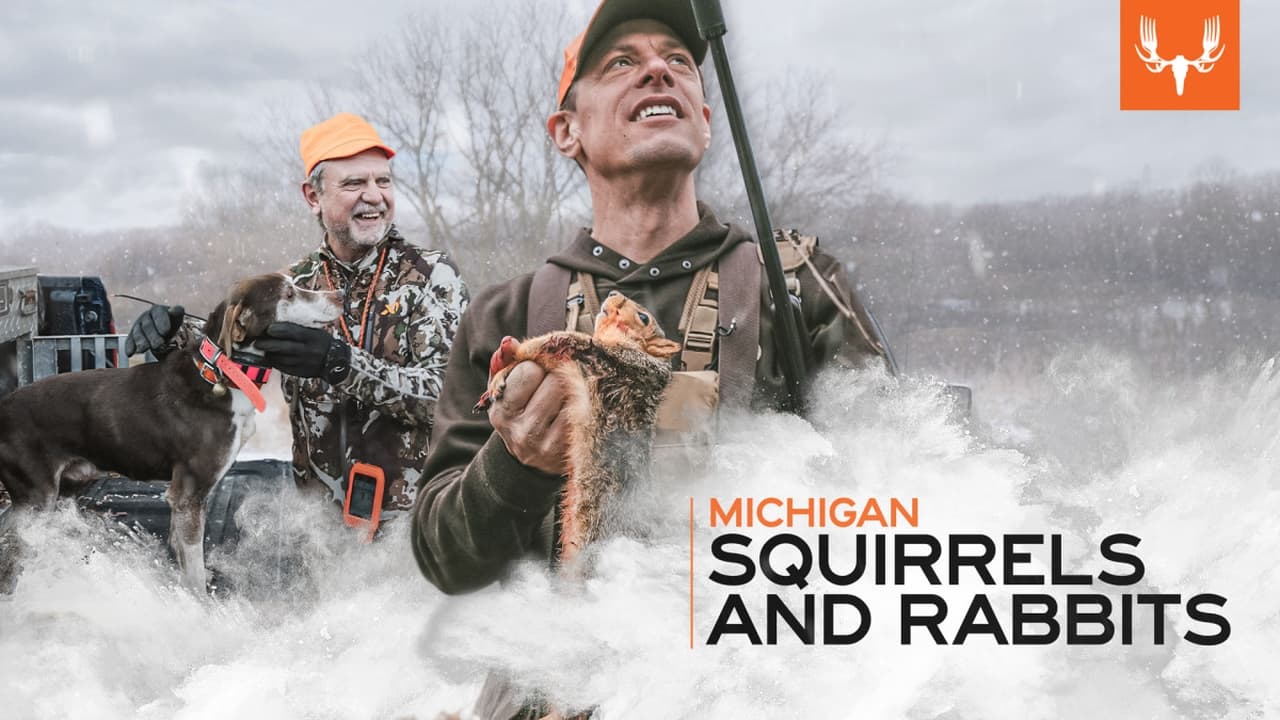 Michigan Squirrels and Rabbits