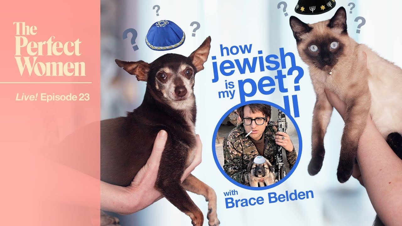 How Jewish is my Pet II