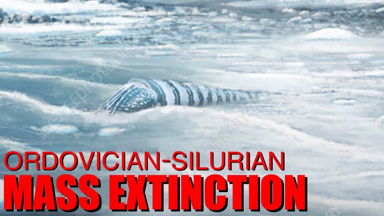 The Chilling Tale of the OrdovicianSilurian Mass Extinction