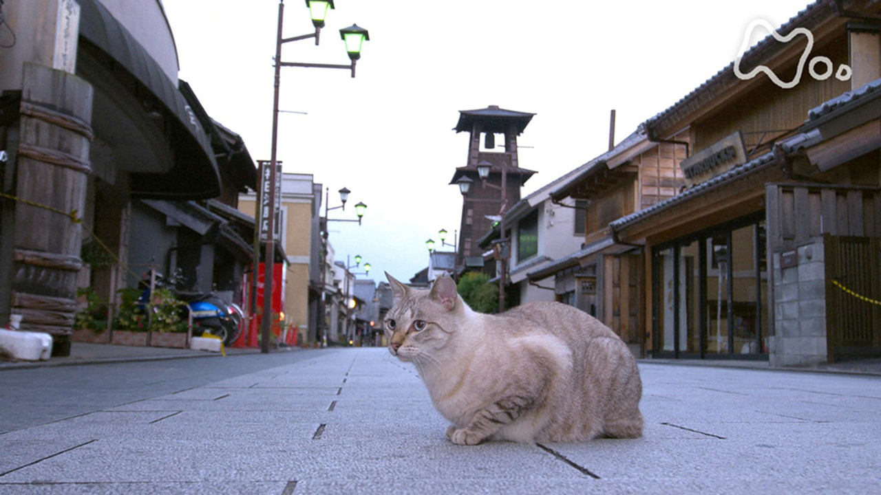 Kawagoe and Chichibu