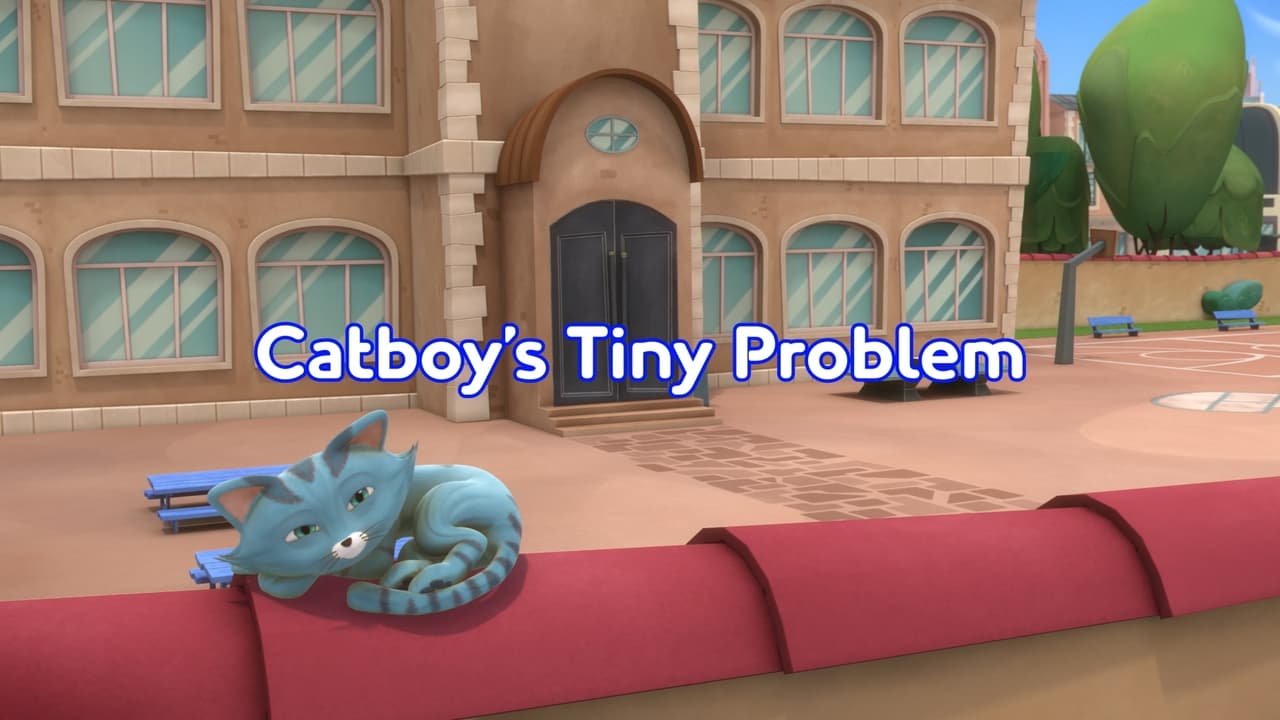 Catboys Tiny Problem