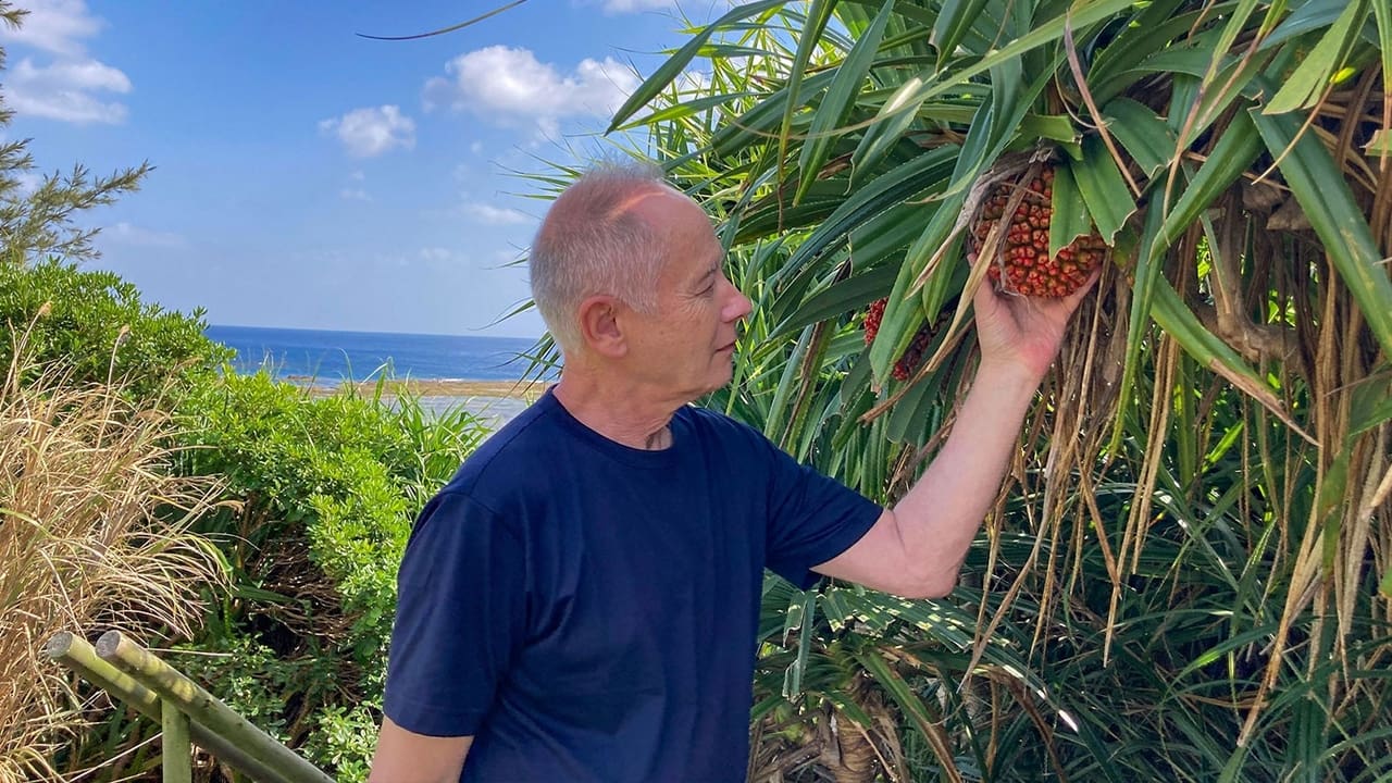 Barakan Discovers AMAMI OSHIMA Issons Treasure Island