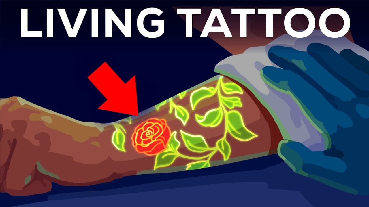 Your Tattoo is INSIDE Your Immune System Literally