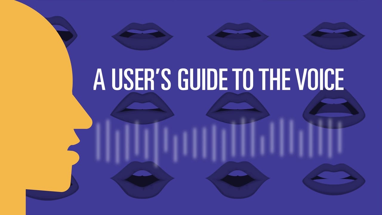 A Users Guide to the Voice
