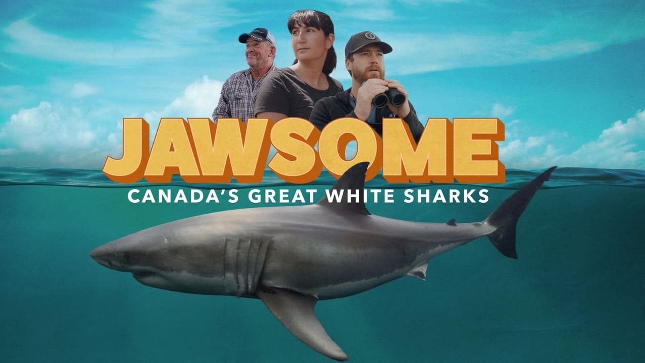 Jawsome Canadas Great White Sharks