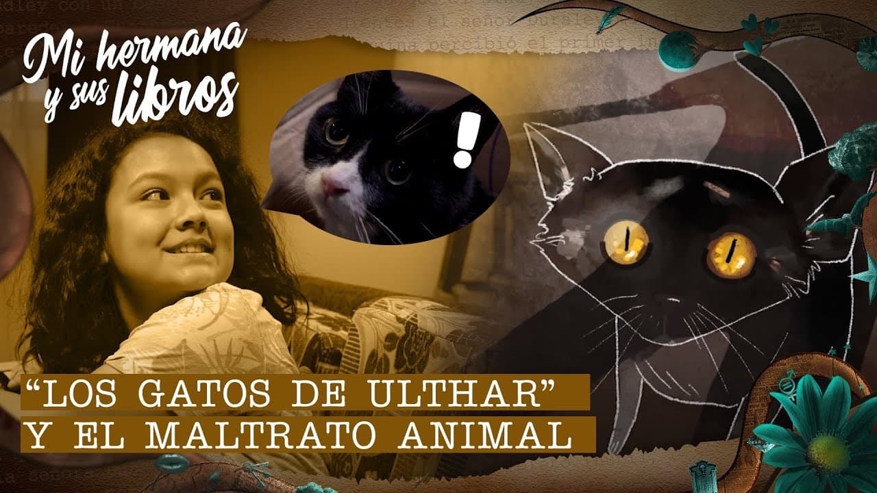 Los gatos de Ulthar y el maltrato animal
