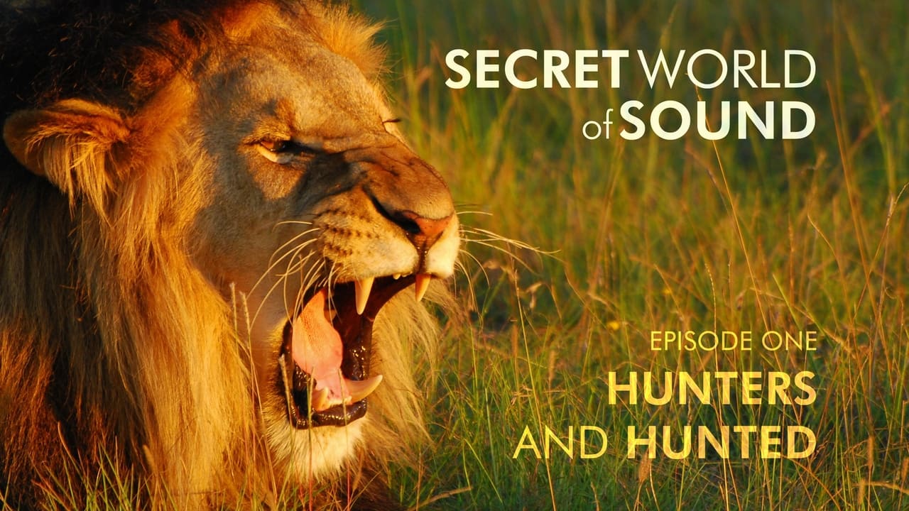 Secret World of Sound Hunters and Hunted