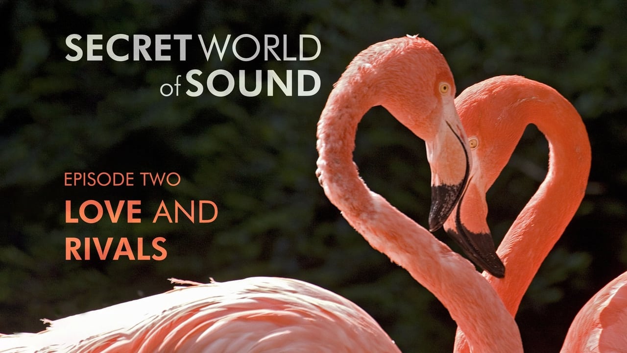 Secret World of Sound Love and Rivals