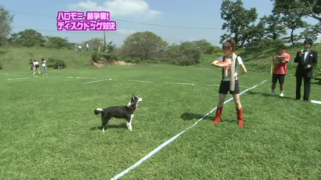 Animal Training Challenge Mitsui Aika first appearance