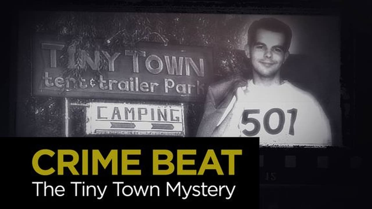 The Tiny Town Mystery