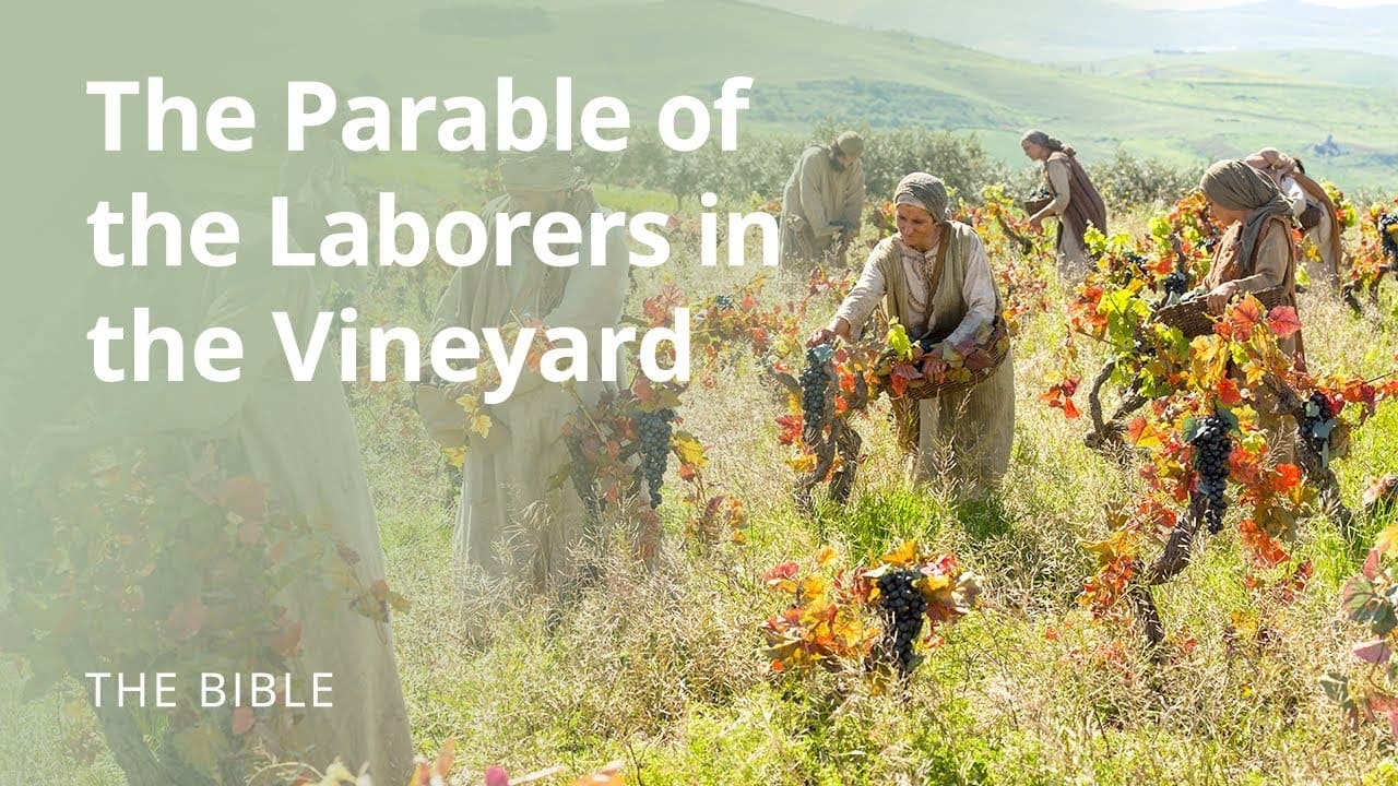 Matthew 20  The Parable of the Laborers In the Vineyard