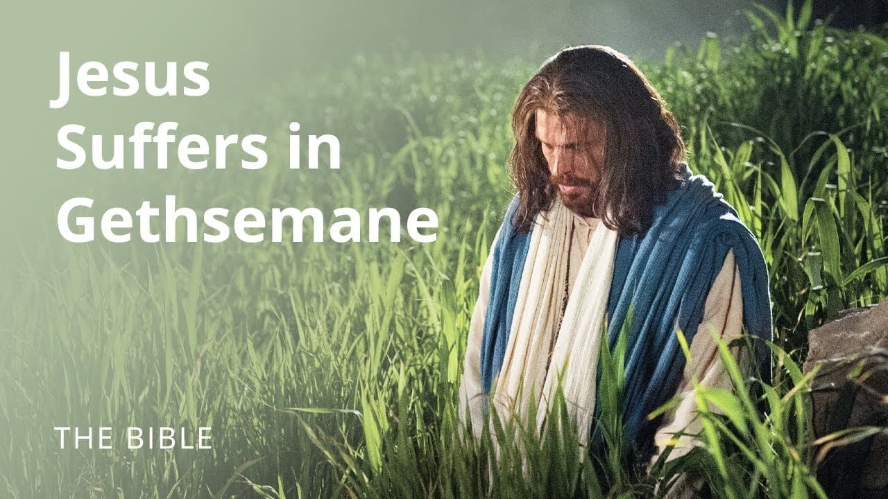 Matthew 26  The Savior Suffers in Gethsemane