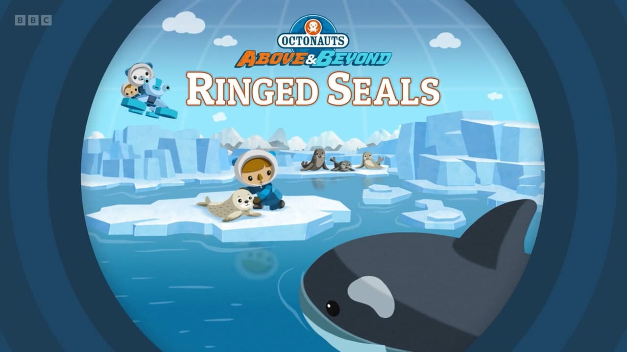 Ringed Seals