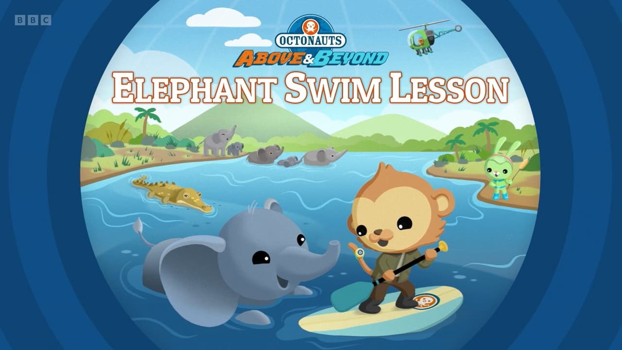 Elephant Swim Lesson