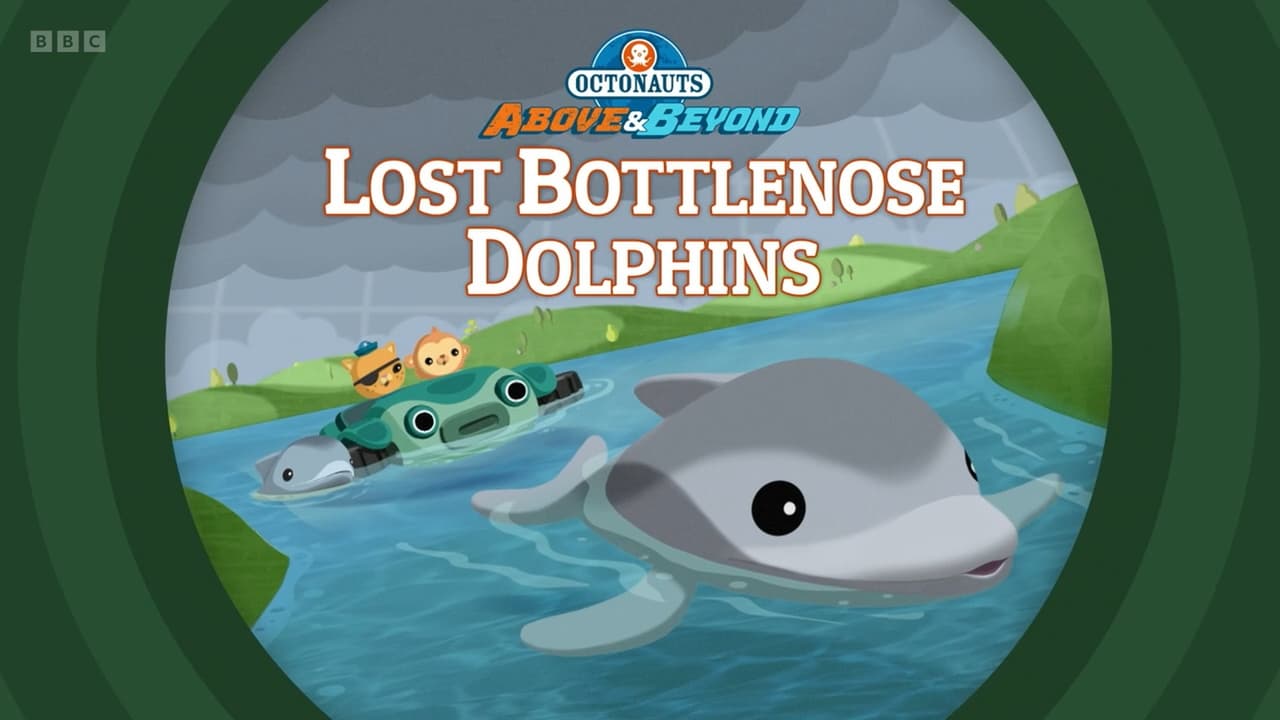 Lost Bottlenose Dolphins