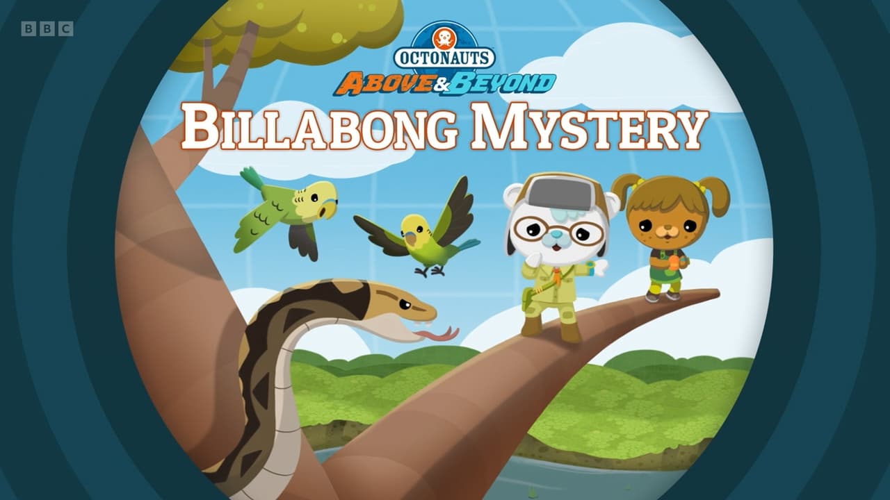 Billabong Mystery