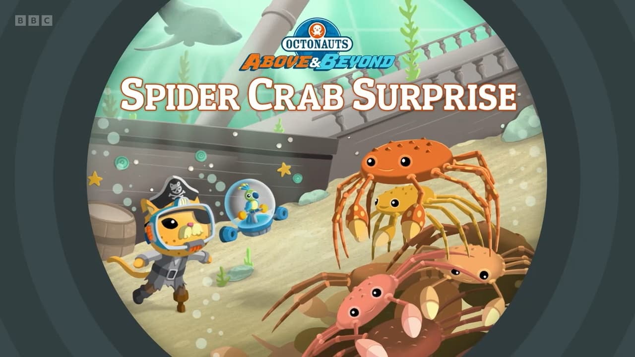 Spider Crab Surprise
