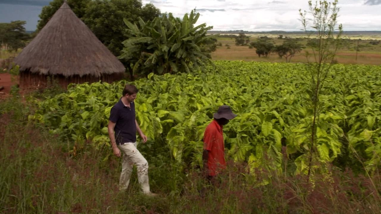 The hole of Mongu