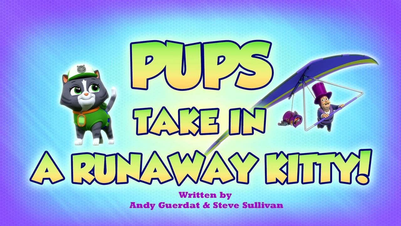 Pups Take in a Runaway Kitty