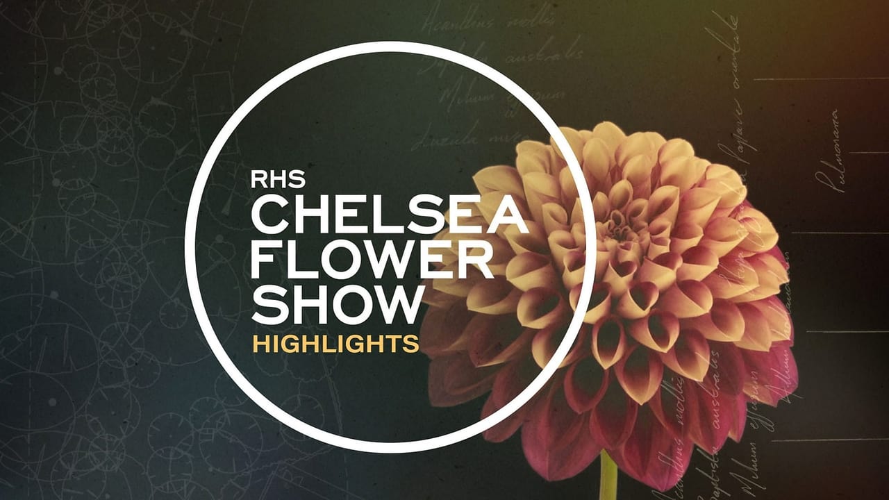 Highlights RHS Chelsea Flower Show 2024