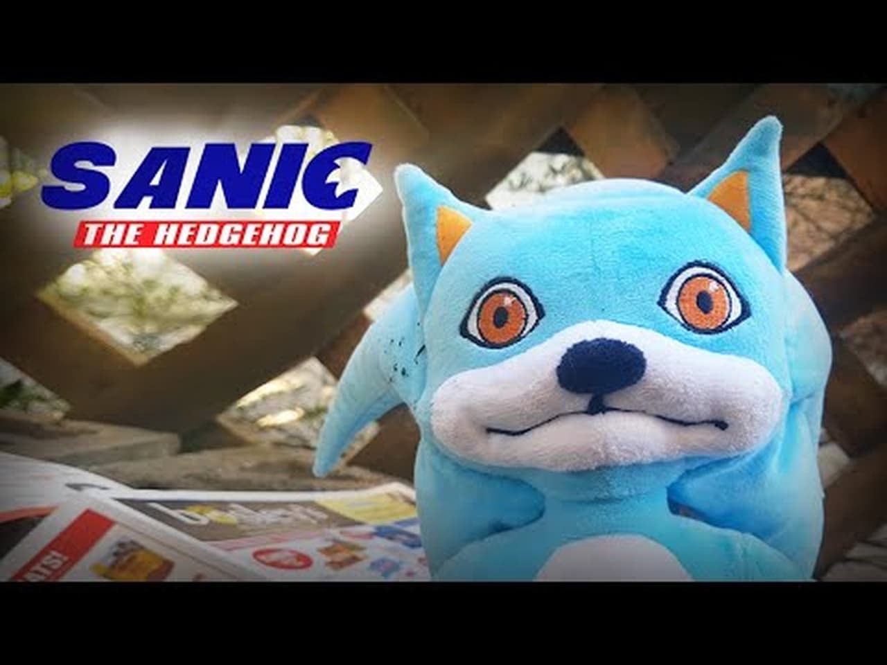 SANIC