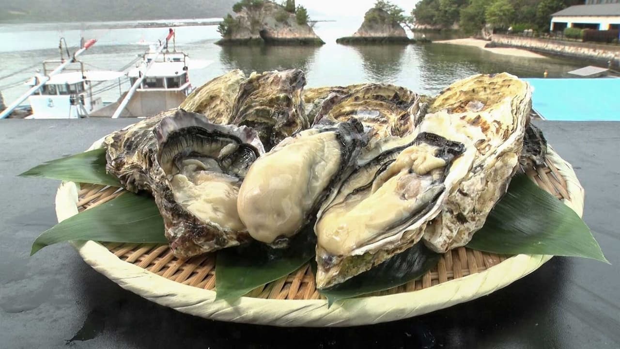 SPRING OYSTERS