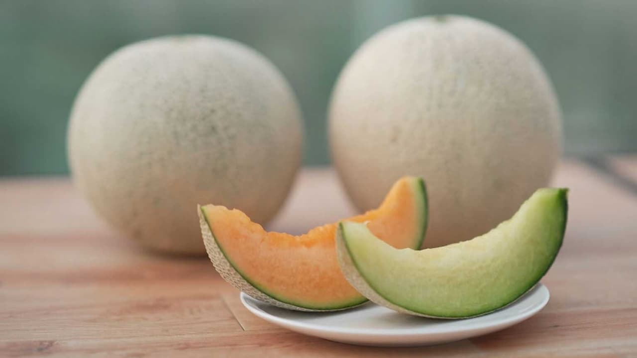 MELON