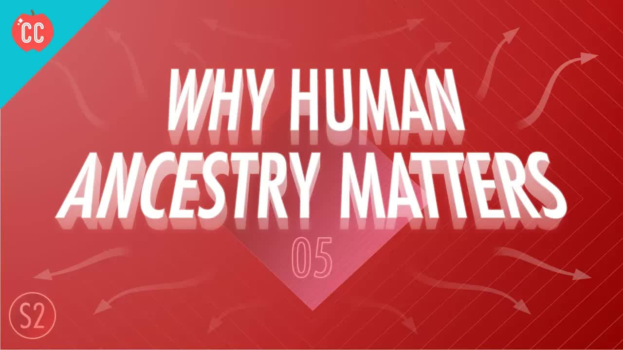 Why Human Ancestry Matters