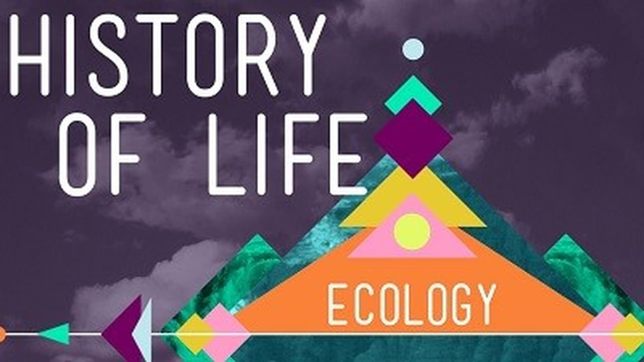 The History of Life on Earth