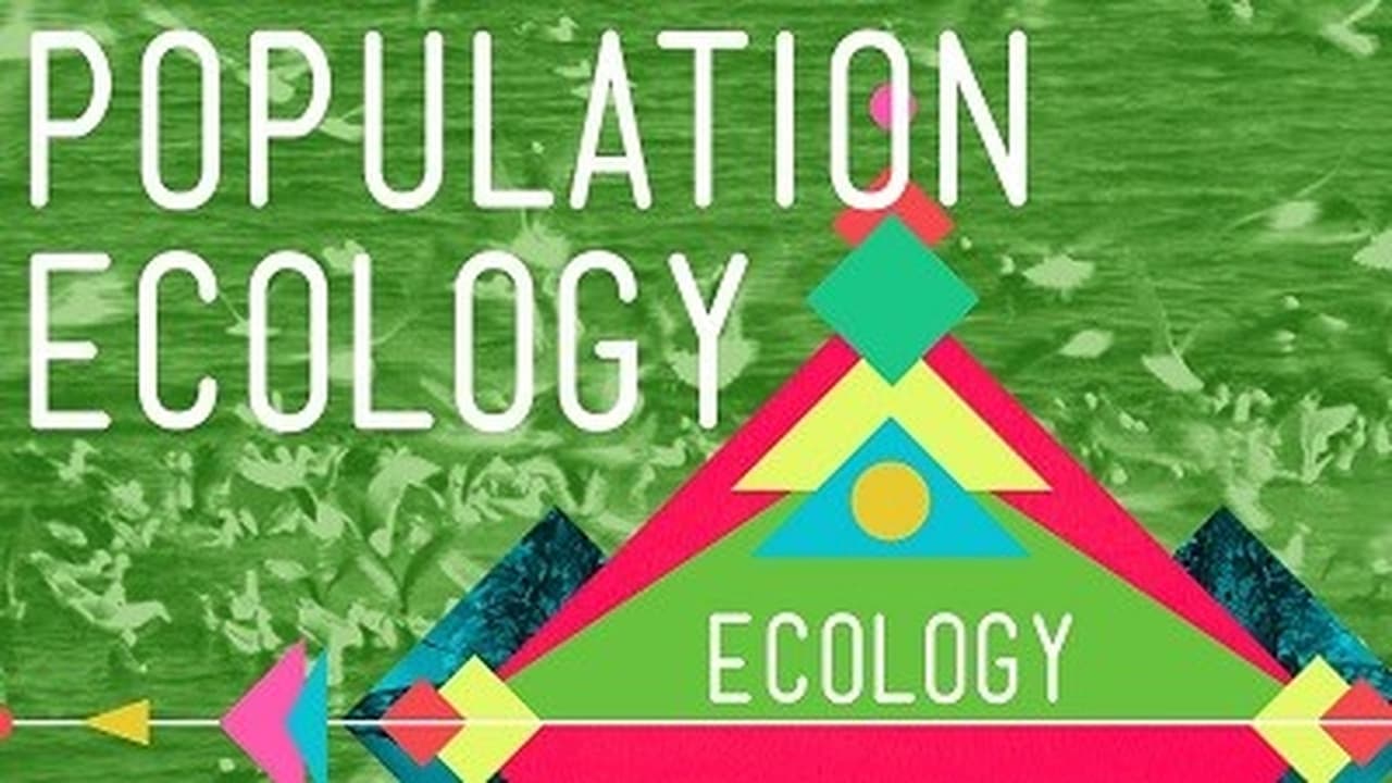 Population Ecology The Texas Mosquito Mystery