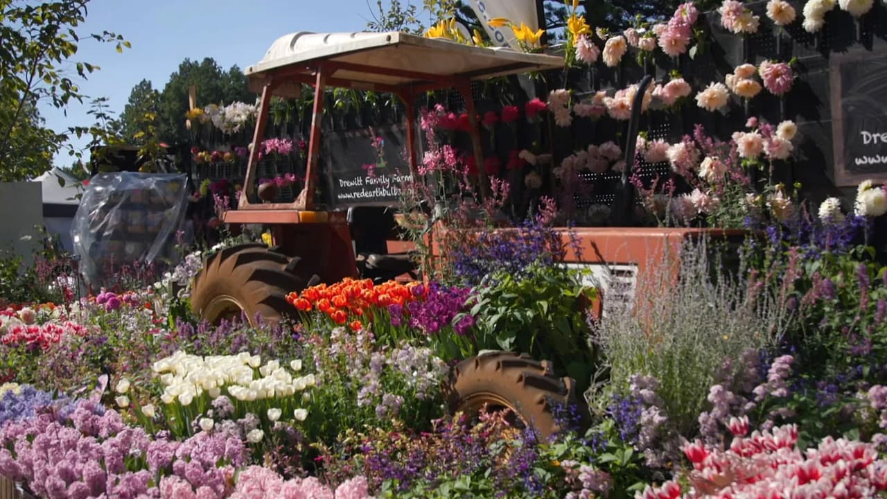 Episode 19 Winter Designer gardens  strawberry baskets