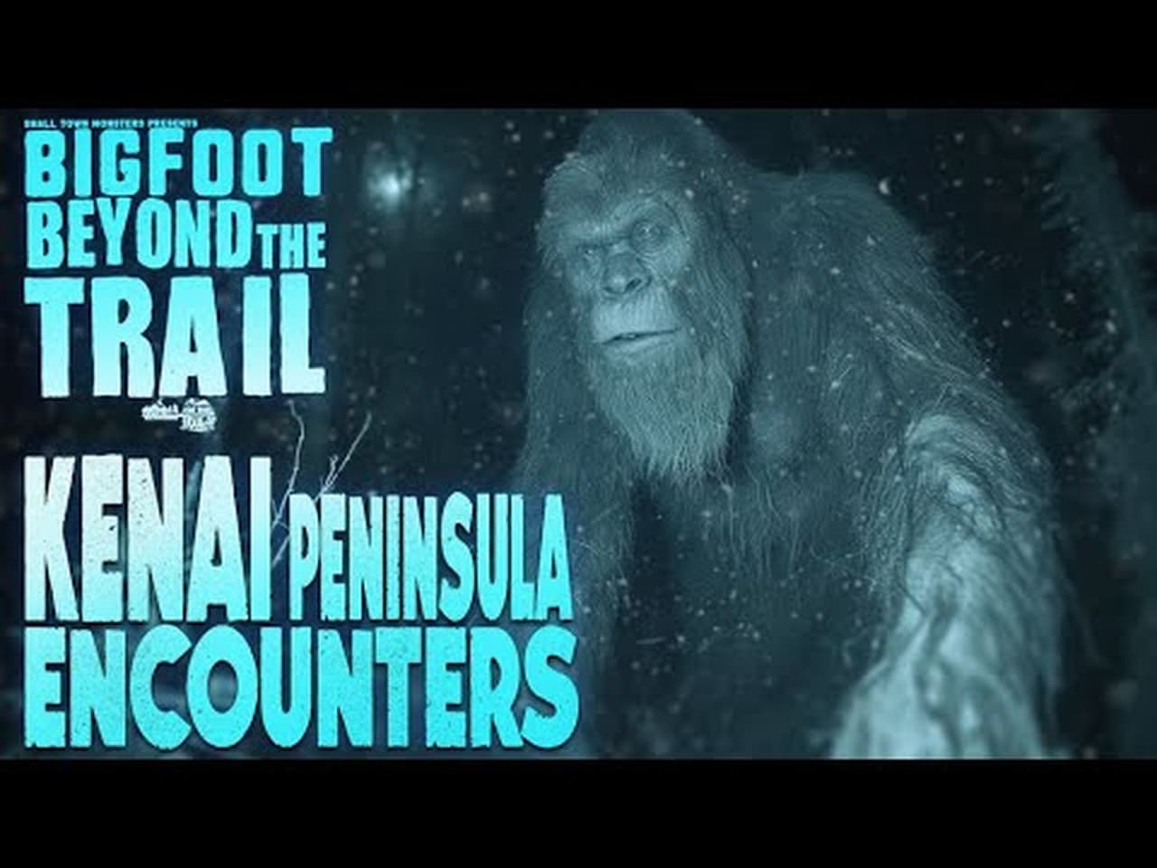 Kenai Peninsula Encounters