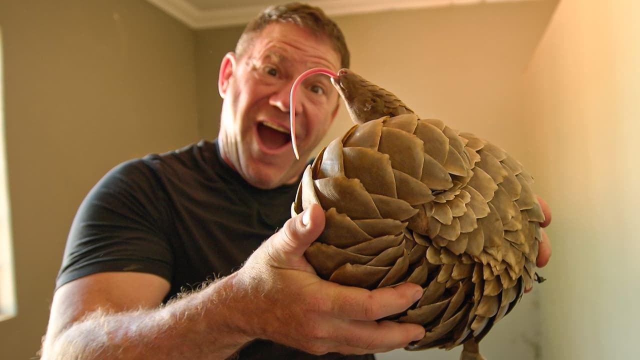 Saving the Pangolins