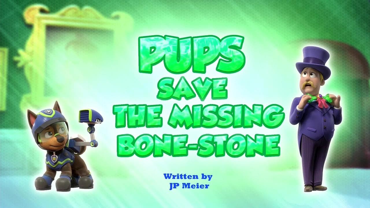 Pups Save the Missing BoneStone