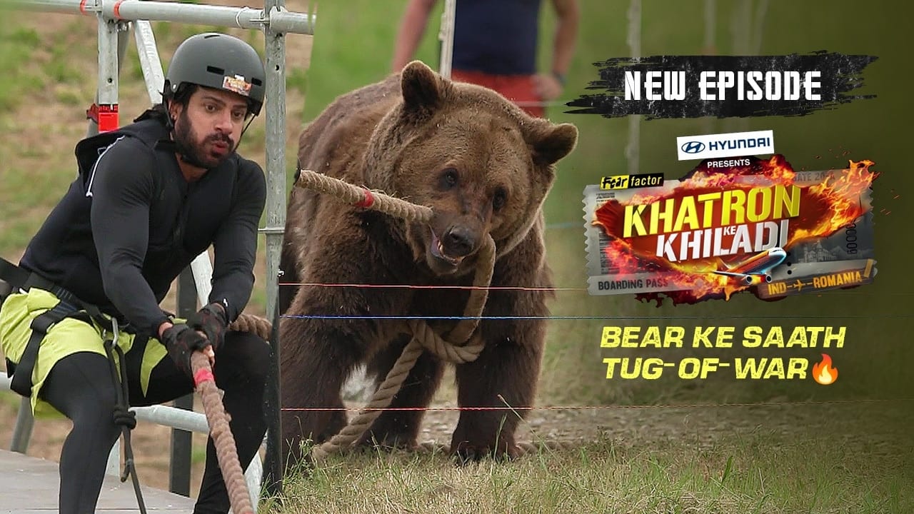 Bear Ke Saath TugOfWar