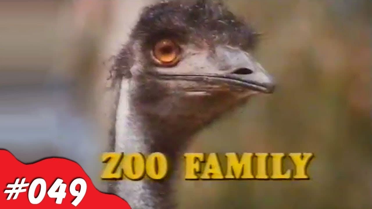 Zoo Family