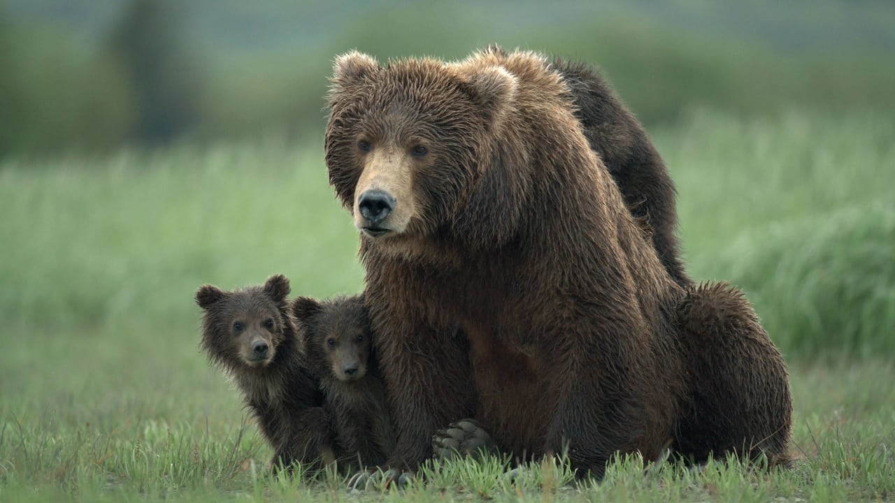 Katmai