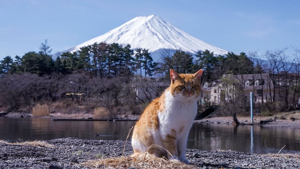 Yamanashi Aiming for the Peak