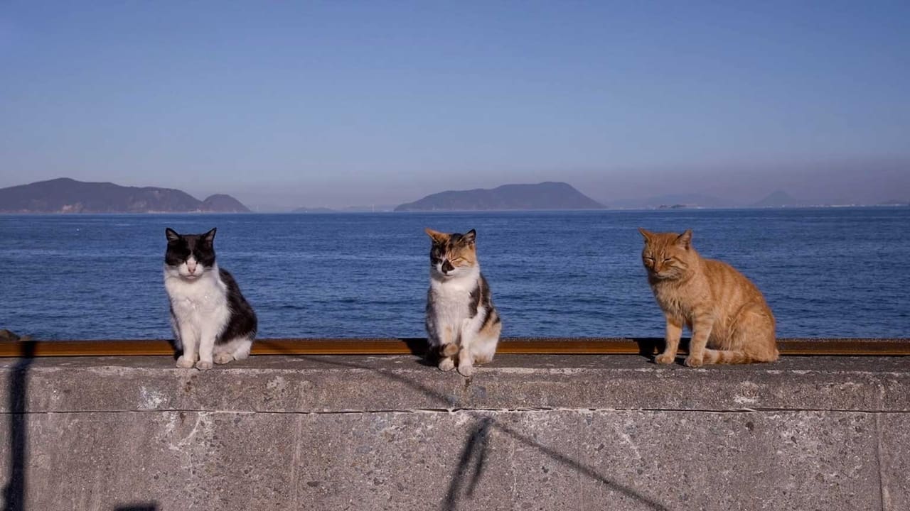 Okayama A View of the Seto Inland Sea