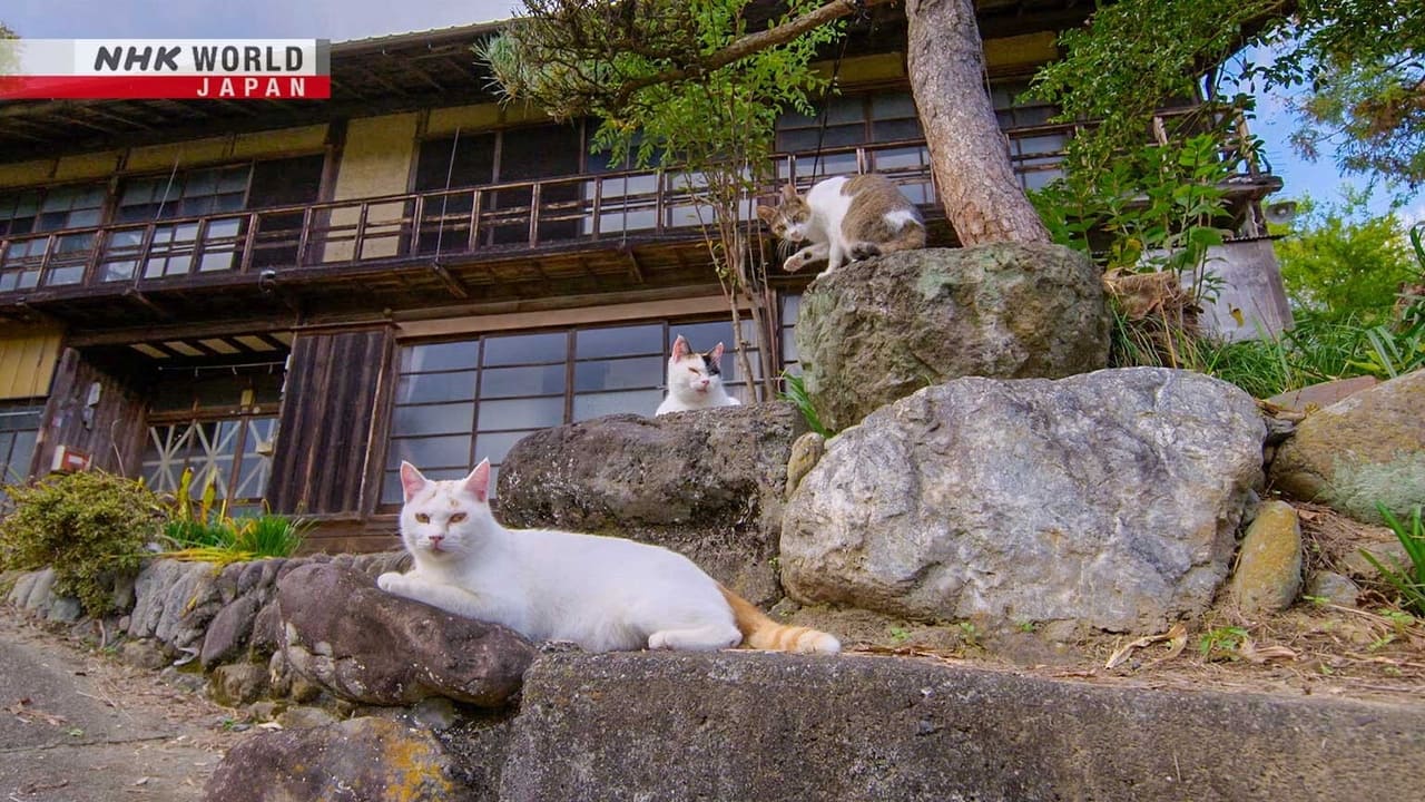 Chichibu The Great Outdoors with Cats