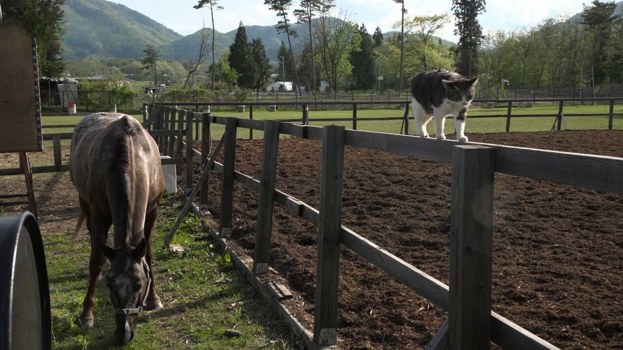 Iwate Land of History and Horses