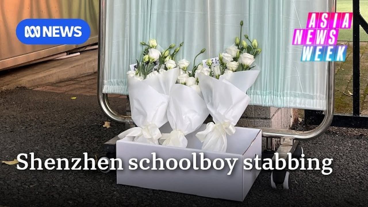 Shenzhen School Stabbing