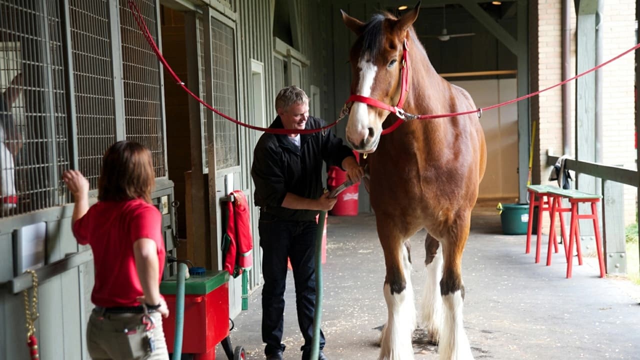 Martin Clunes Heavy Horsepower