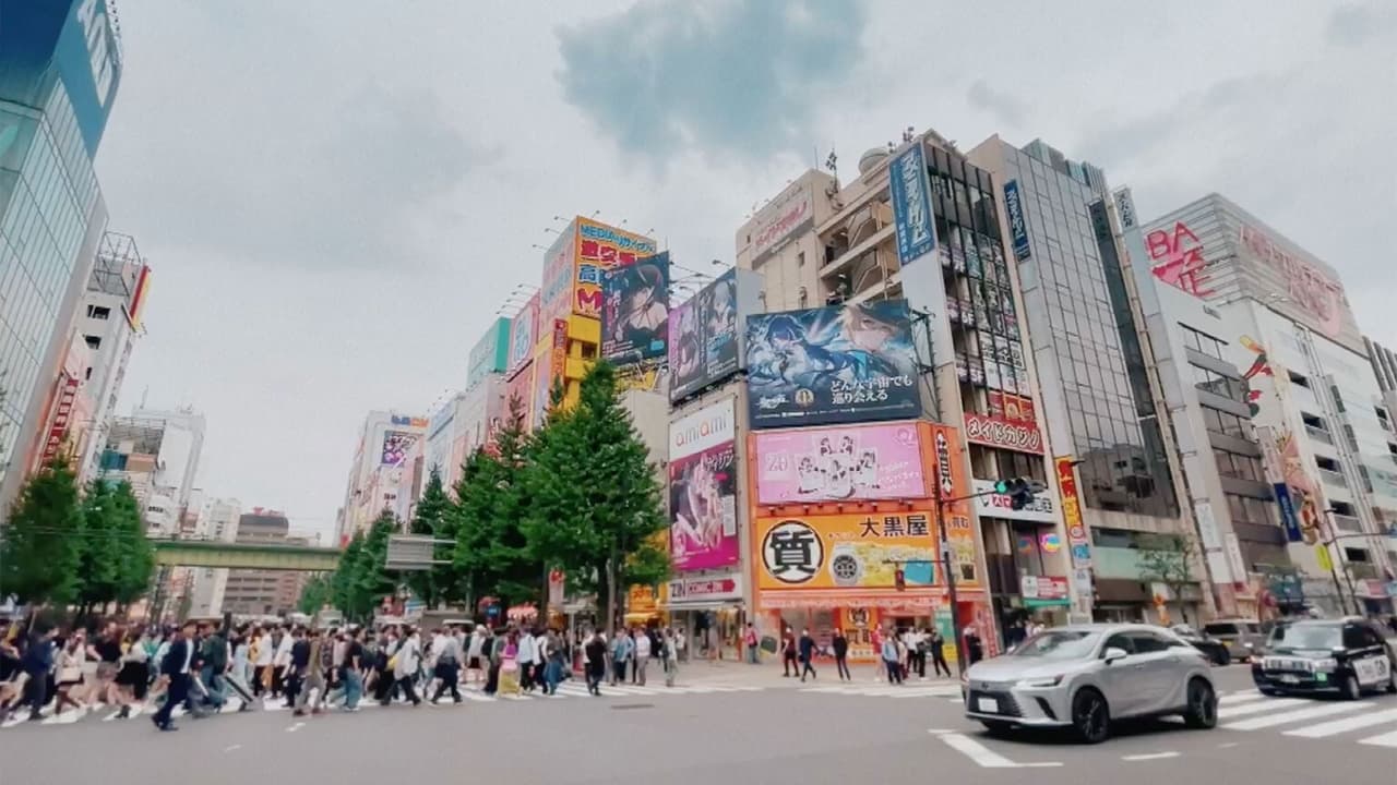 Love Live  AKIHABARA