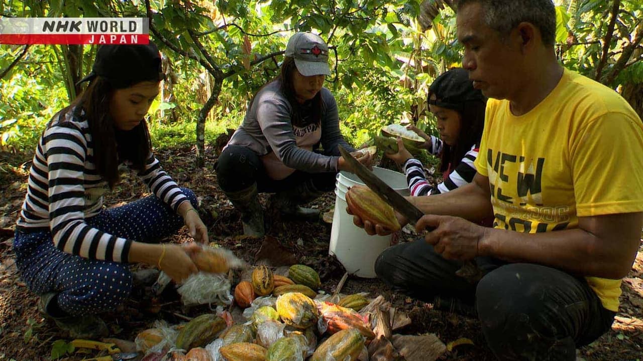 Quality Cocoa Enriches Lives The Philippines