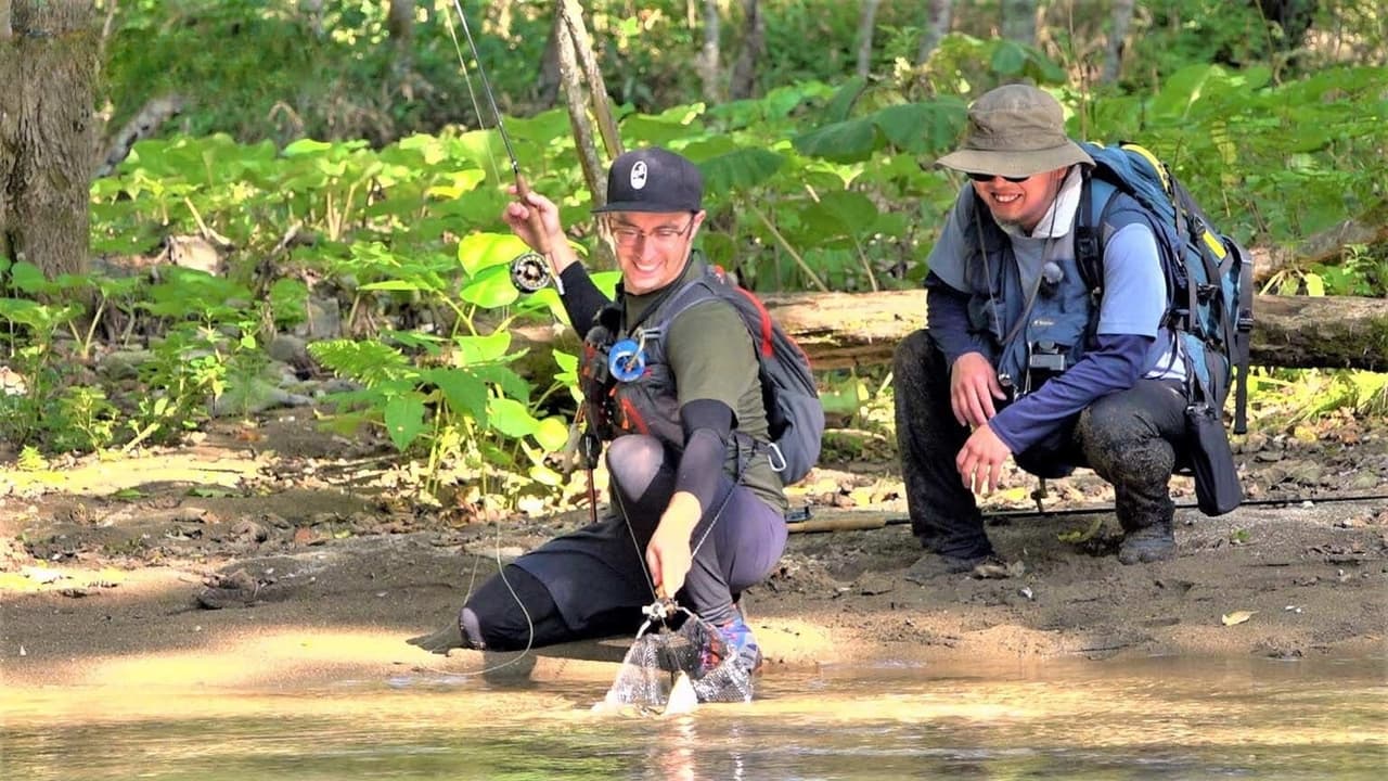 FlyFishing in Secluded Forest Stream