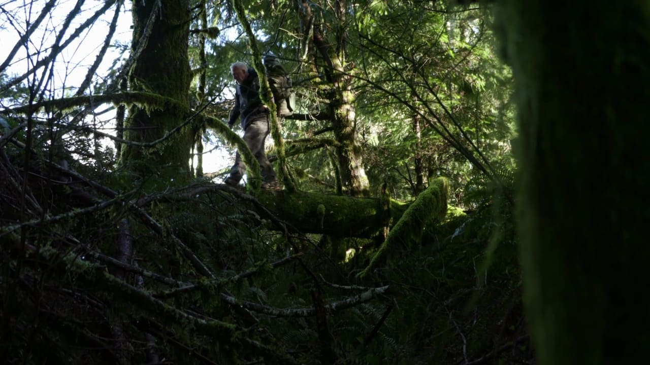 Nests of Giants