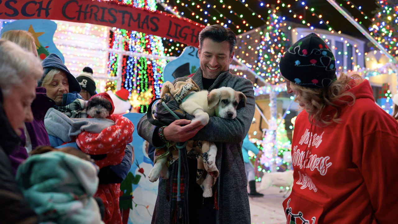 Festive Families