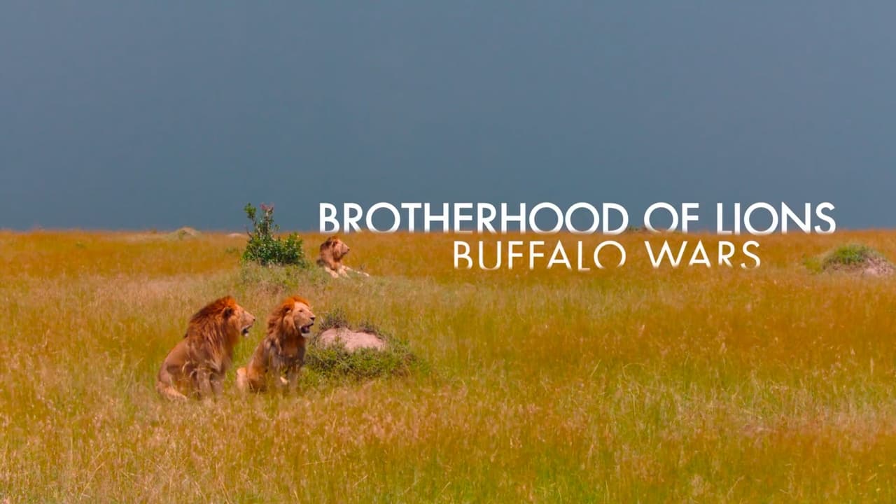 Buffalo Wars